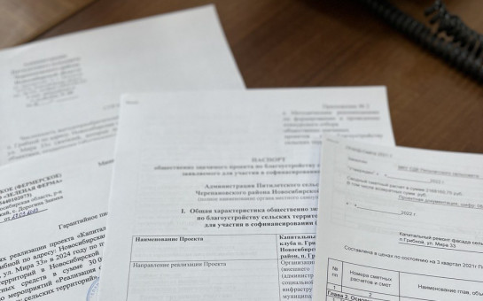 Отбор общественно значимых проектов 