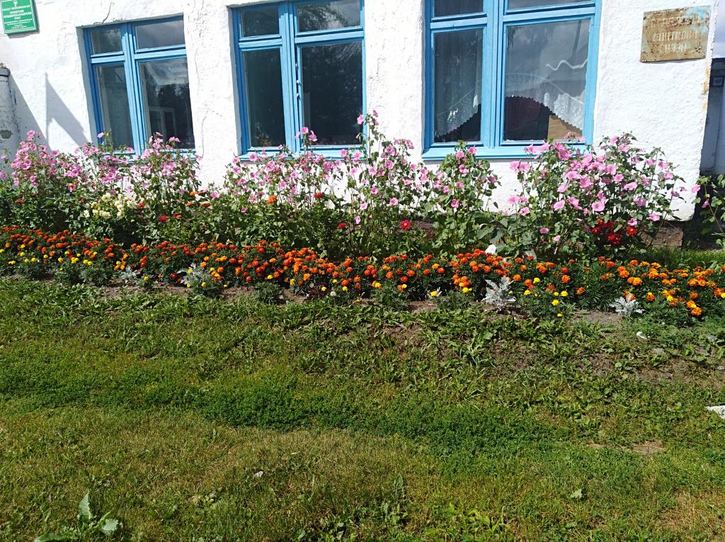 Открыть оригинальное изображение